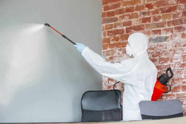 Best Biohazard Mold Removal  in Denmark, SC