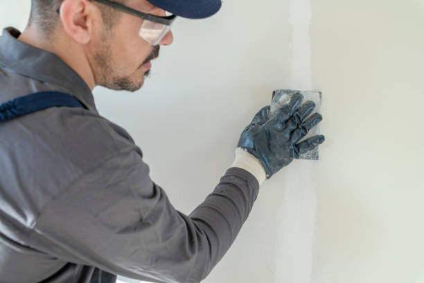 Mold Remediation for Rental Properties in Denmark, SC